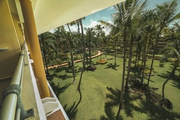 Premium Oda (Tropical View)