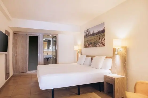 Tek Büyük Yataklı Oda, Balkon, Bahçe Manzaralı