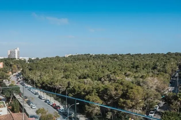 Tek Büyük Yataklı Oda, Balkon