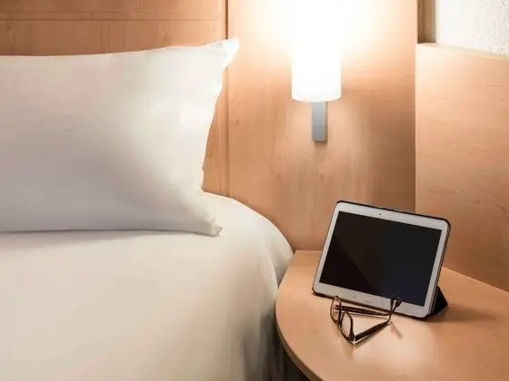 Standard Tek Büyük Yataklı Oda, 1 Çift Kişilik Yatak