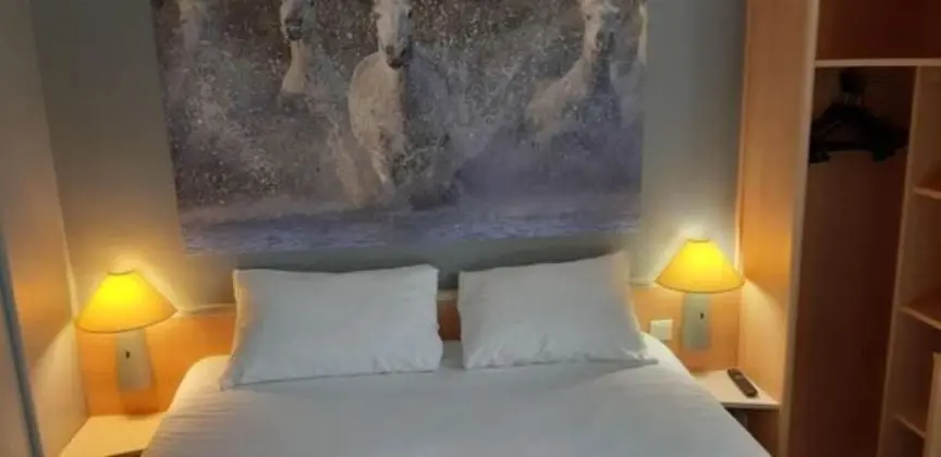 Standard Tek Büyük Yataklı Oda, 1 Çift Kişilik Yatak