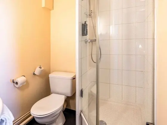 Standard Tek Büyük Yataklı Oda, 1 Çift Kişilik Yatak