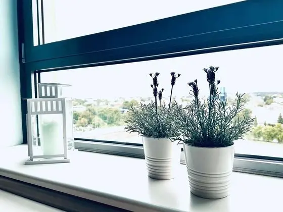 Standard Tek Büyük Yataklı Oda, 1 Çift Kişilik Yatak
