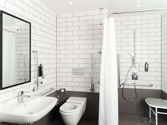 Standard Süit, 1 Çift Kişilik Yatak, Banyolu/Duşlu