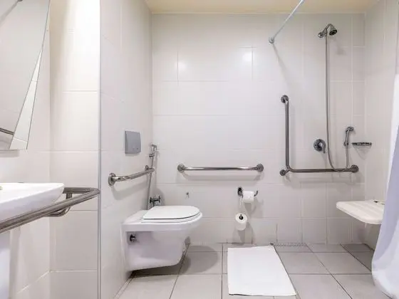 Standard Apart Daire, 1 Çift Kişilik Yatak, Engellilere Uygun
