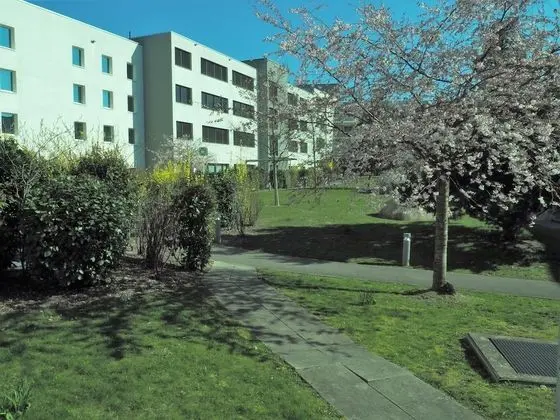 Tek Büyük Yataklı Oda, Birden Çok Yatak
