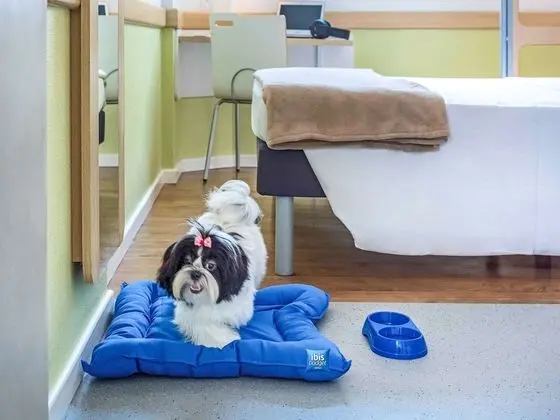 Standard Oda, 1 Çift Kişilik Yatak (Cama de casal)