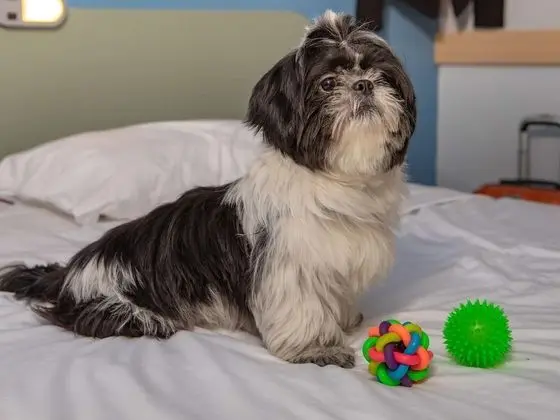 Standard Oda, 1 Çift Kişilik Yatak