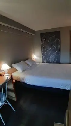 Standard Tek Büyük Yataklı Oda, 1 Çift Kişilik Yatak