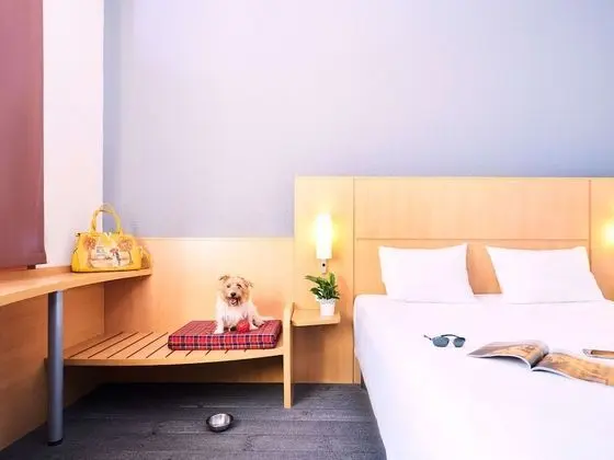 Premium Tek Büyük Yataklı Oda, 1 Çift Kişilik Yatak