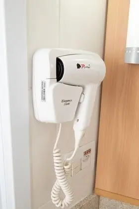 Standard Apart Daire, 1 Çift Kişilik Yatak, Engellilere Uygun