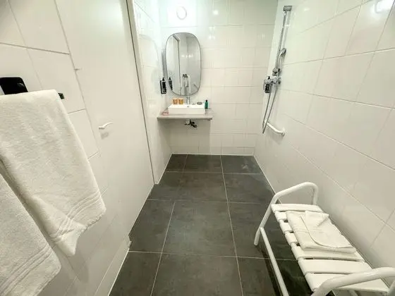 Standard Tek Büyük Yataklı Oda, 1 Çift Kişilik Yatak