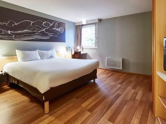 Standard Tek Büyük Yataklı Oda, 1 Çift Kişilik Yatak