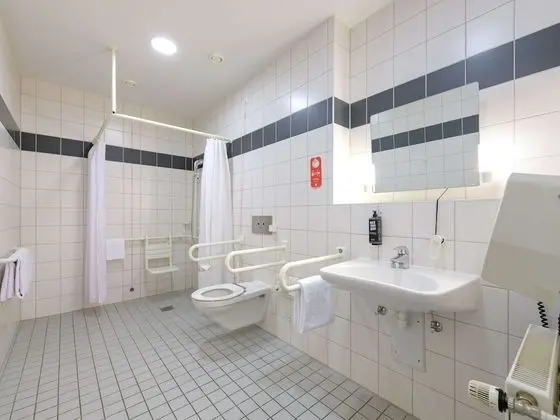 Standard Tek Büyük Yataklı Oda, 1 Çift Kişilik Yatak