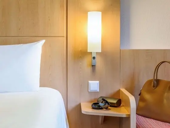 Standard Tek Büyük Yataklı Oda, 1 Çift Kişilik Yatak