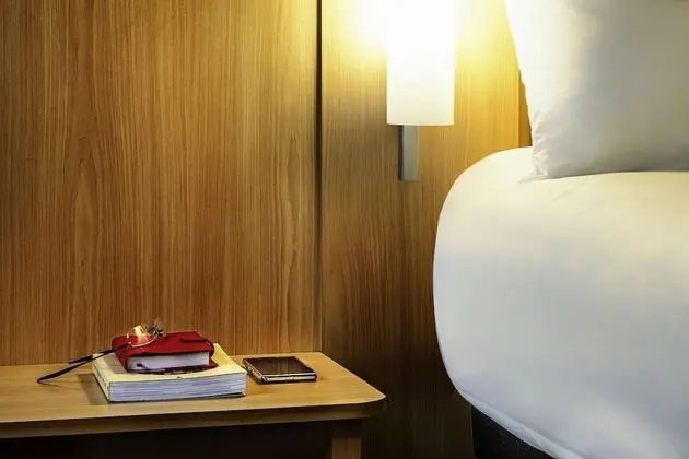 Standard Tek Büyük Yataklı Oda, 1 Çift Kişilik Yatak