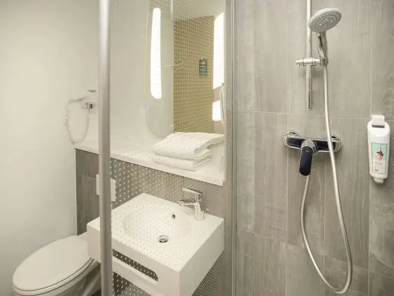 Standard Tek Büyük Yataklı Oda, 1 Çift Kişilik Yatak