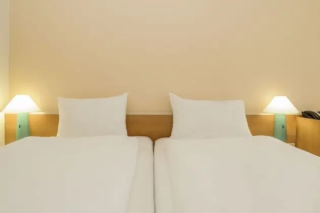 Standard Tek Büyük Yataklı Oda, Birden Çok Yatak