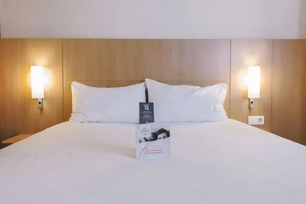 Standard Oda (1 double bed and 1 single sofabed)
