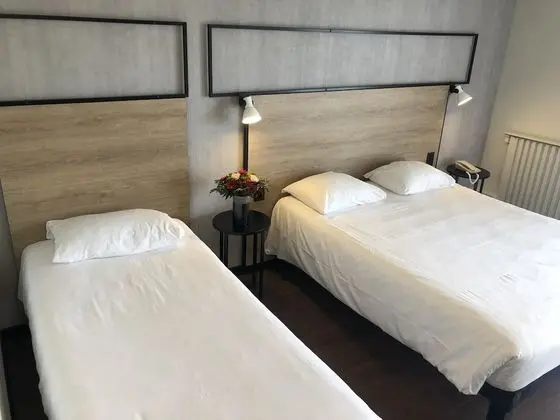 Deluxe Oda, Birden Çok Yatak (renovated)