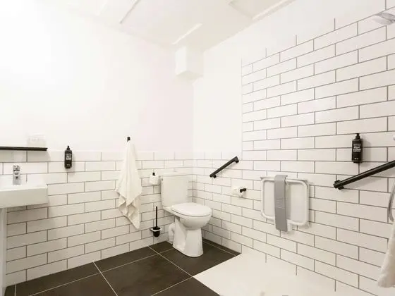 Deluxe Oda, Birden Çok Yatak (renovated)