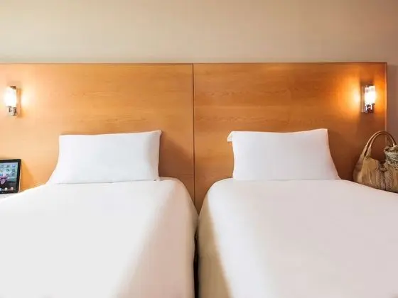 Superior Tek Büyük Yataklı Oda, 1 Çift Kişilik Yatak