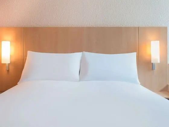 Standard Tek Büyük Yataklı Oda, 1 Çift Kişilik Yatak