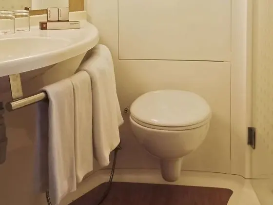 Deluxe Oda, 2 Tek Kişilik Yatak, Dağ Manzaralı