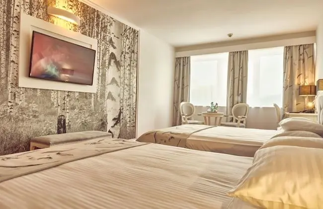 Deluxe Family PLUS Room , Palace of Parliament view