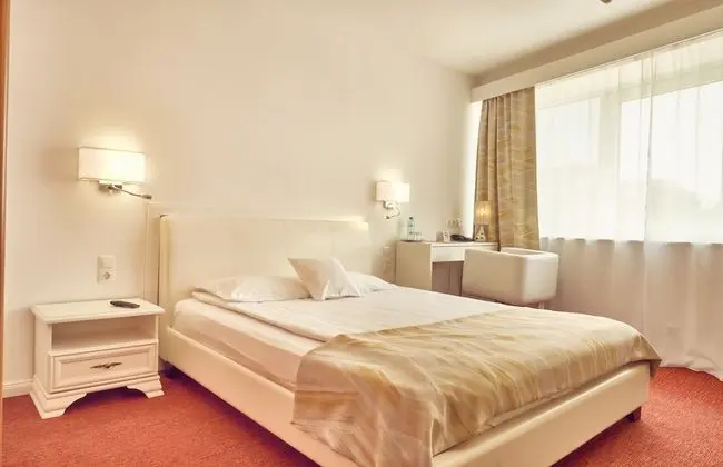Deluxe Single Room, Palace of Parliament view