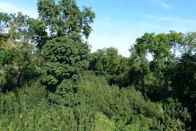 Premium Tek Büyük Yataklı Oda, 1 Çift Kişilik Yatak, Manzaralı