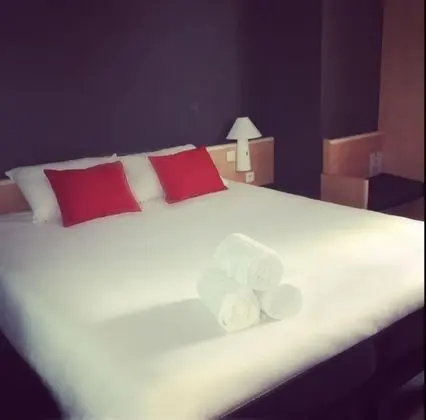 Standard Tek Büyük Yataklı Oda, 1 Çift Kişilik Yatak