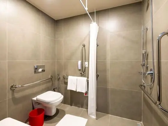 Standard Apart Daire, 1 Çift Kişilik Yatak, Engellilere Uygun