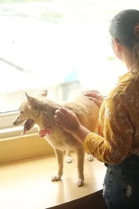 Standard Oda, 1 Çift Kişilik Yatak