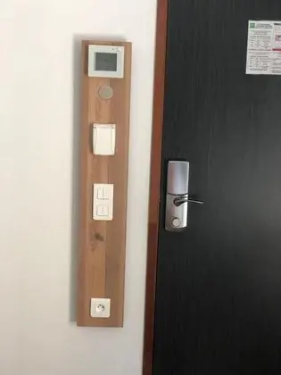 Standard Tek Büyük Yataklı Oda, 1 Çift Kişilik Yatak