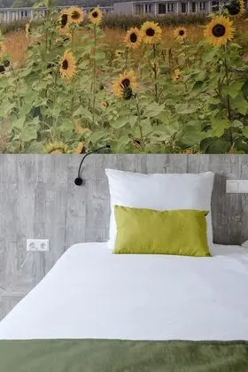 Standard Oda, 1 Çift Kişilik Yatak