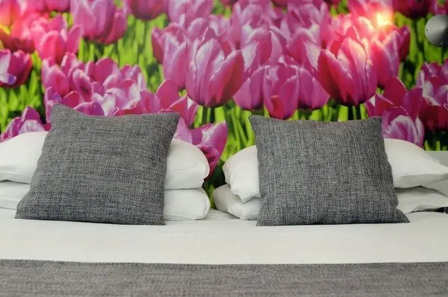 Tek Büyük Yataklı Oda, 1 Çift Kişilik Yatak (Basement)
