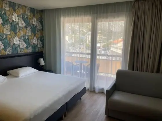 Standard Tek Büyük Yataklı Oda, 1 Çift Kişilik Yatak ve Çekyat