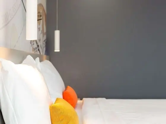 Standard Tek Büyük Yataklı Oda, 1 Çift Kişilik Yatak