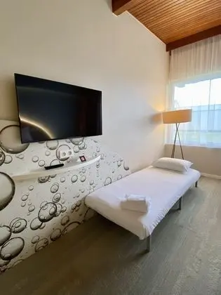 Standard Tek Büyük Yataklı Oda, 1 Çift Kişilik Yatak ve Çekyat