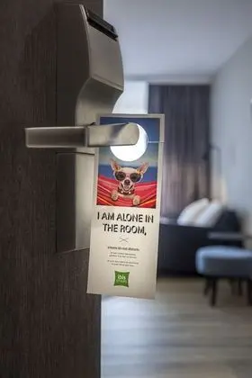 Comfort Tek Büyük Yataklı Oda, 1 Çift Kişilik Yatak ve Çekyat