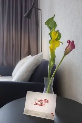Family Oda, 1 Çift Kişilik Yatak ve Çekyat, Balkon