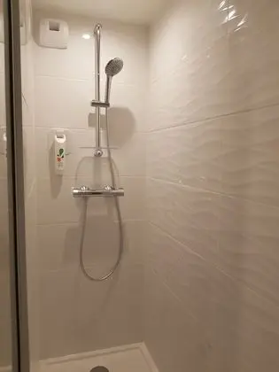 Standard Tek Büyük Yataklı Oda, 1 Çift Kişilik Yatak ve Çekyat