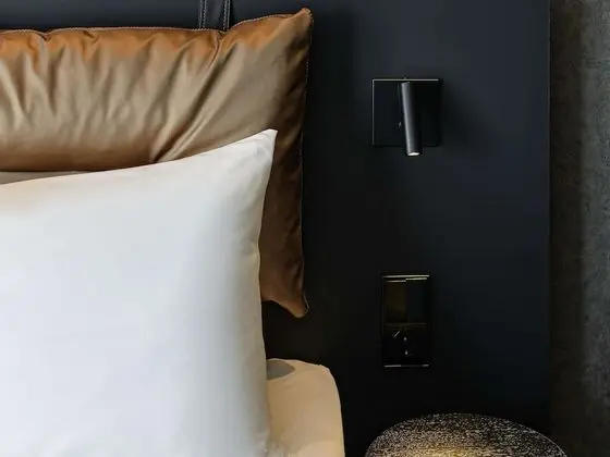 Standard Tek Büyük Yataklı Oda, 1 Çift Kişilik Yatak