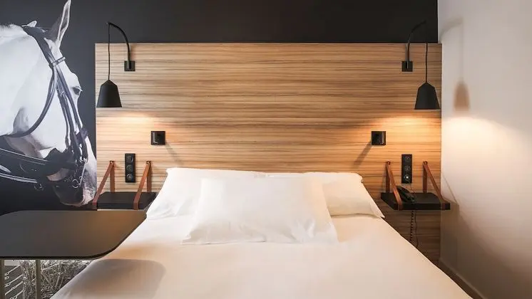 Standard Tek Büyük Yataklı Oda, 1 Çift Kişilik Yatak