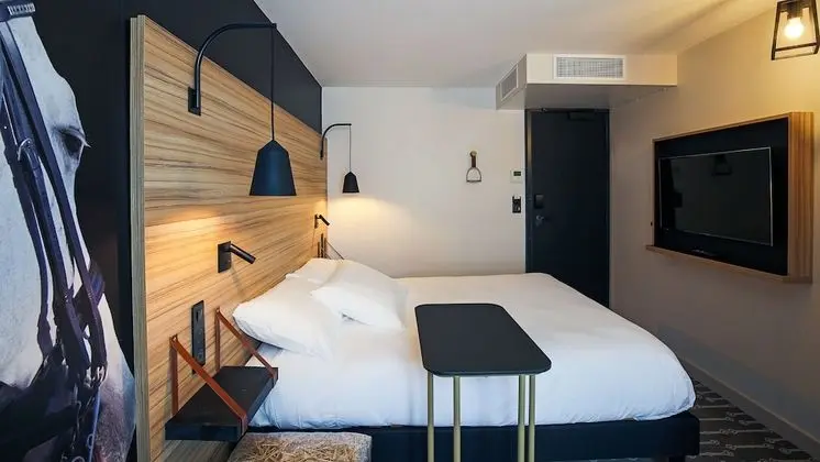 Standard Tek Büyük Yataklı Oda, 1 Çift Kişilik Yatak