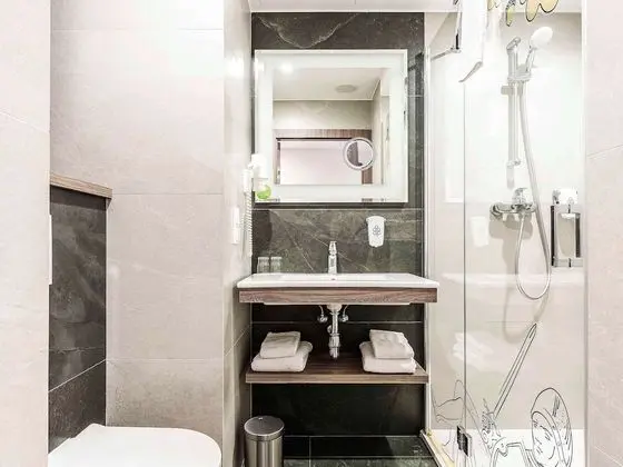 Standard Tek Büyük Yataklı Oda, 1 Çift Kişilik Yatak