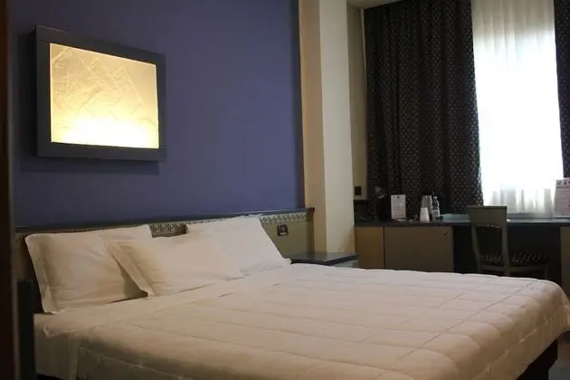 Standard Tek Büyük Yataklı Oda, 1 Çift Kişilik Yatak