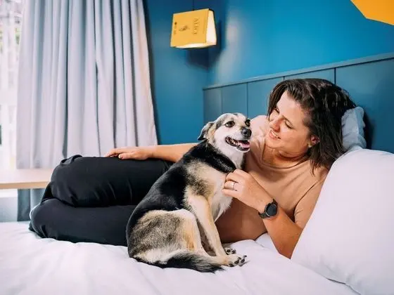 Standard Apart Daire, 1 Çift Kişilik Yatak