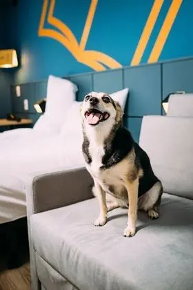 Standard Apart Daire, 1 Çift Kişilik Yatak ve Çekyat